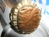 DSCF0699.webp