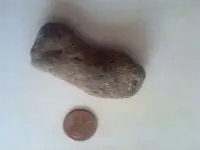 1345579616497.webp