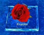 rose on ice 700 this one.webp rose on ice 700 this one.webp