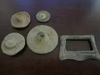 8-7-2012finds.webp