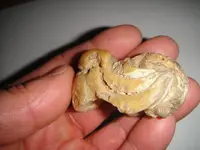DSC01413.webp