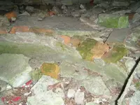 cambell house 2 010.webp