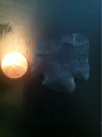 image-2920990396.webp