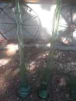 image-514880318.webp