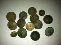 Southern finds.webp