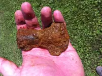 scabbard end.webp