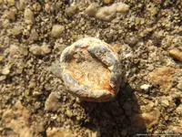 DSCF3382.webp