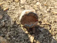 DSCF3400.webp