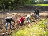 DSCN1590.webp