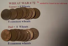 Wheat War 72.webp