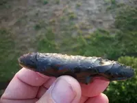 100_5471.webp