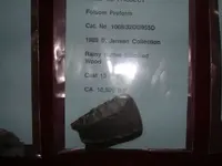 folsom preform RBSW copy.webp
