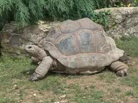 image-718406644.webp