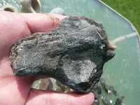 P1110330 - Copy.webp