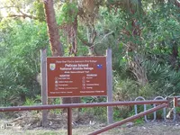 pelican island.webp