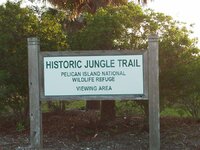 jungle trail.JPG