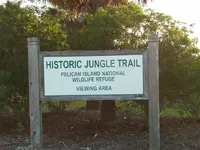 jungle trail.webp