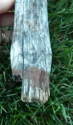 DSCN9443.webp