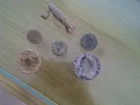 IMG-20120712-00380.webp