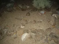 IMGP0427.webp
