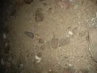IMGP0428.webp