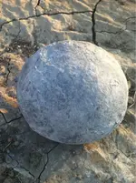 image-1110504510.webp
