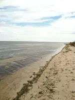 image-2711661437.webp