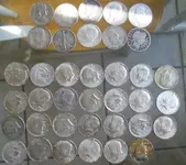DSCN5583.webp
