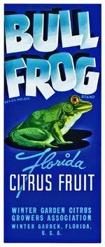 Bullfrog.webp Bullfrog.webp