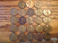 23 Wheats.webp