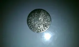 IMAG0129.webp