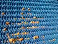 vortex matting-2.webp