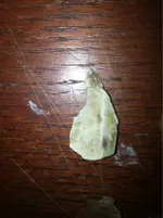 image-1481041533.webp