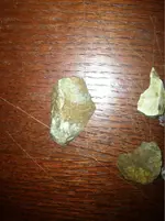 image-1884972017.webp