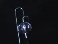 IMGA1541.webp IMGA1541.webp