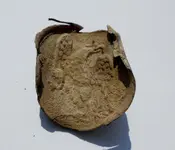 U.S. Breastplate 8-29-12.webp
