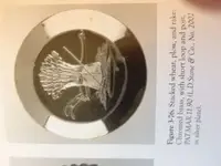 rosette from book.webp