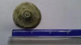 unidentified scale.webp