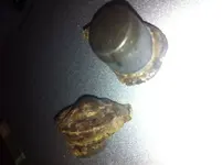 photo 2.webp