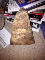 image-5367770.webp