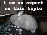 image-3213851578.webp