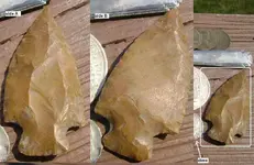 arrowhead sides.webp
