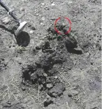 Mud Rules 001.webp Mud Rules 001.webp