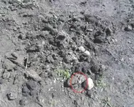 Mud Rules 002.webp Mud Rules 002.webp