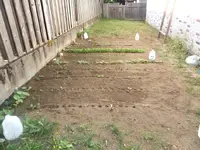 DSCF1478.webp