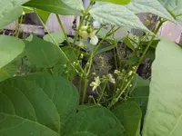 DSCF1488.webp