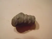 45 cal bullet 002.webp