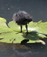 20120724_33.webp