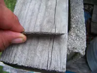 100_0693.webp
