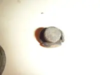 8-3-12 finds 017.webp